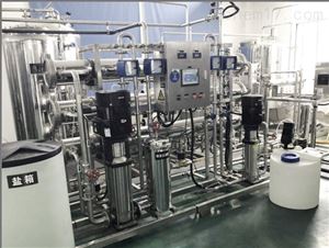 0.5T纯化水设备