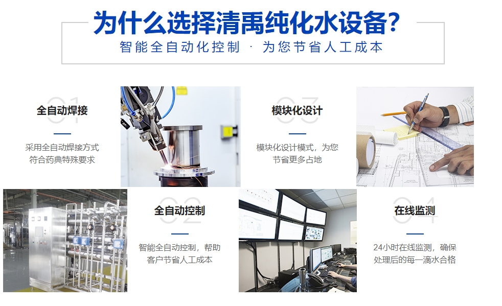 0.5T纯化水设备